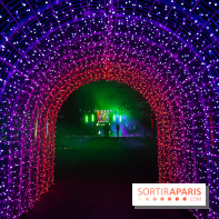 Lumières en Seine 2025, les photos du parcours de lumières - A7C00472