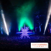 Lumières en Seine 2025, les photos du parcours de lumières - A7C00536