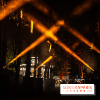 Lumières en Seine 2025, les photos du parcours de lumières - A7C00573