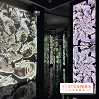 MC. Escher à la Monnaie de Paris - IMG 0843