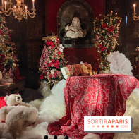 Le Grand Noël 2025 du château de Vaux-le-Vicomte : des décorations magiques pour une balade hivernale mémorable - fotor 1763143951179