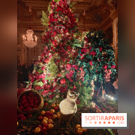 Le Grand Noël 2025 du château de Vaux-le-Vicomte : des décorations magiques pour une balade hivernale mémorable - fotor 1763143767663