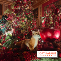 Le Grand Noël 2025 du château de Vaux-le-Vicomte : des décorations magiques pour une balade hivernale mémorable - fotor 1763143752676
