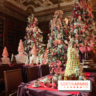 Le Grand Noël 2025 du château de Vaux-le-Vicomte : des décorations magiques pour une balade hivernale mémorable - fotor 1763143628524