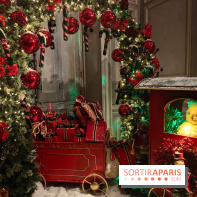 Le Grand Noël 2025 du château de Vaux-le-Vicomte : des décorations magiques pour une balade hivernale mémorable - fotor 1763143505689