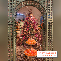 Le Grand Noël 2025 du château de Vaux-le-Vicomte : des décorations magiques pour une balade hivernale mémorable - fotor 1763143392567