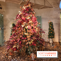 Le Grand Noël 2025 du château de Vaux-le-Vicomte : des décorations magiques pour une balade hivernale mémorable - fotor 1763143439708