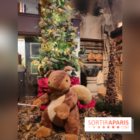 Le Grand Noël 2025 du château de Vaux-le-Vicomte : des décorations magiques pour une balade hivernale mémorable - fotor 1763143422476