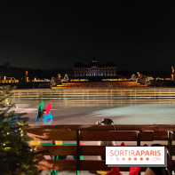 Le Grand Noël 2025 du château de Vaux-le-Vicomte : des décorations magiques pour une balade hivernale mémorable - fotor 1763143267766