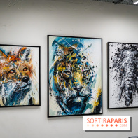 Le Festival Street-art de la Poste du Louvre 2025, les photos