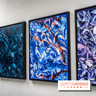 Le Festival Street-art de la Poste du Louvre 2025, les photos - A7C00835