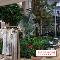 Noël 2025 Dior 30 Montaigne - IMG 1956