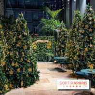 Noël 2025 Dior 30 Montaigne - IMG 1968