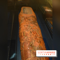 Momies : une exposition insolite et troublante à découvrir au musée de l'Homme - fotor 1763471313393