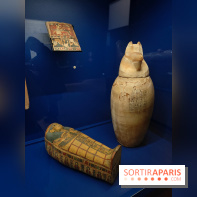 Momies : une exposition insolite et troublante à découvrir au musée de l'Homme