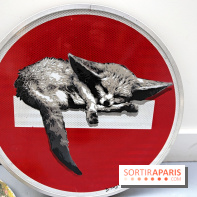 Salon des Bombasphères à Paris, nos photos - Salon des Bombasphères 13 fotor 20251118163134