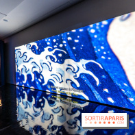 Exposition Manga au Musée Guimet, les photos  - A7C01152