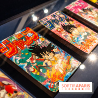 Exposition Manga au Musée Guimet, les photos