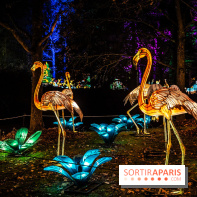 L'Odyssée Lumineuse au Parc Floral 2025, les photos