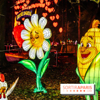 L'Odyssée Lumineuse au Parc Floral 2025, les photos