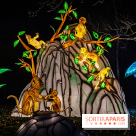 L'Odyssée Lumineuse au Parc Floral 2025, les photos