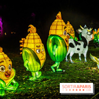 L'Odyssée Lumineuse au Parc Floral 2025, les photos