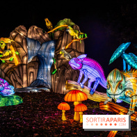 L'Odyssée Lumineuse au Parc Floral 2025, les photos
