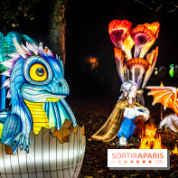 L'Odyssée Lumineuse au Parc Floral 2025, les photos