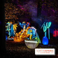 L'Odyssée Lumineuse au Parc Floral 2025, les photos