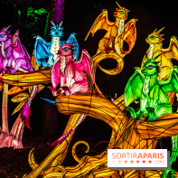 L'Odyssée Lumineuse au Parc Floral 2025, les photos