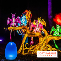 L'Odyssée Lumineuse au Parc Floral 2025, les photos