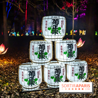 L'Odyssée Lumineuse au Parc Floral 2025, les photos