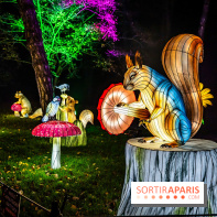 L'Odyssée Lumineuse au Parc Floral 2025, les photos