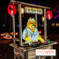 L'Odyssée Lumineuse au Parc Floral 2025, les photos