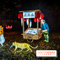 L'Odyssée Lumineuse au Parc Floral 2025, les photos - A7C01781