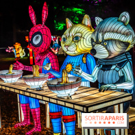 L'Odyssée Lumineuse au Parc Floral 2025, les photos