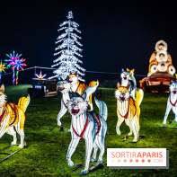 L'Odyssée Lumineuse au Parc Floral 2025, les photos