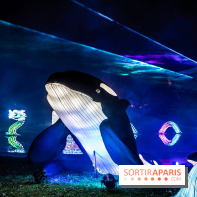 L'Odyssée Lumineuse au Parc Floral 2025, les photos