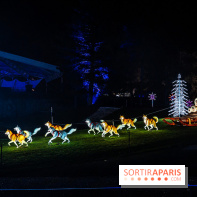 L'Odyssée Lumineuse au Parc Floral 2025, les photos
