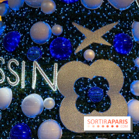 Le sapin de Noël 2025 de Beaugrenelle, co-signé par une Maison de Haute Joaillerie française - IMG 1120