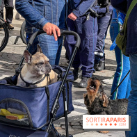 La Marche des animaux à Paris : défilé gratuit, ouvert aux chiens, chats ... sur les Champs-Élysées - IMG 5169