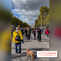 La Marche des animaux à Paris : défilé gratuit, ouvert aux chiens, chats ... sur les Champs-Élysées - IMG 5257