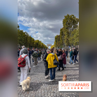 La Marche des animaux à Paris : défilé gratuit, ouvert aux chiens, chats ... sur les Champs-Élysées - IMG 5261