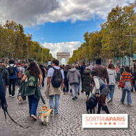 La Marche des animaux à Paris : défilé gratuit, ouvert aux chiens, chats ... sur les Champs-Élysées - IMG 5441