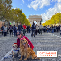 La Marche des animaux à Paris : défilé gratuit, ouvert aux chiens, chats ... sur les Champs-Élysées - IMG 5570