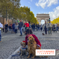 La Marche des animaux à Paris : défilé gratuit, ouvert aux chiens, chats ... sur les Champs-Élysées