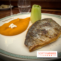 The Regal View - plat