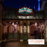 World of Frozen - rencontre royale nuit