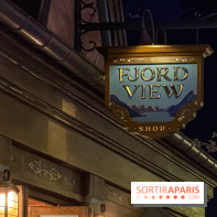 World of Frozen - fjord view shop nuit