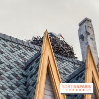 World of Frozen cigogne